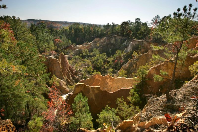 a group of people in a canyon