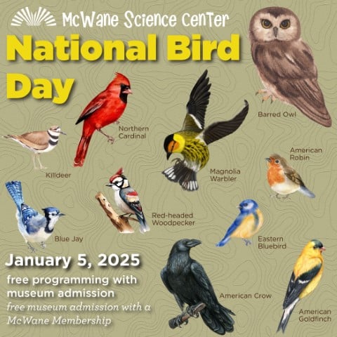 a flock of birds sitting on top of a book